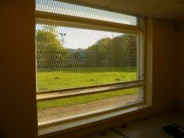 Window Guard Grille